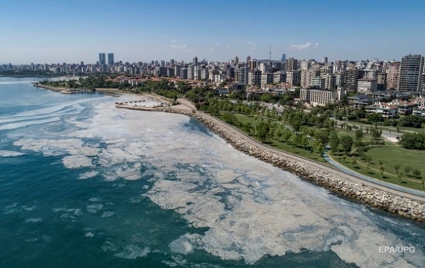 Угроза Черному морю. Турция на грани экокатастрофыСюжет