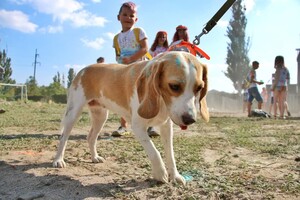 ColorFest: в Одессе пройдет масштабный фестиваль красок