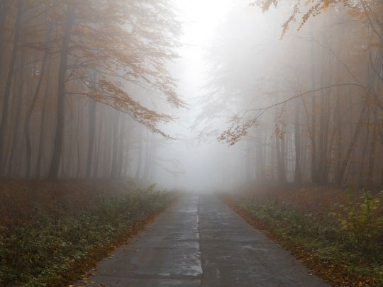 До +13, дощі та туман: у деяких регіонах синоптики прогнозують складні метеоумови