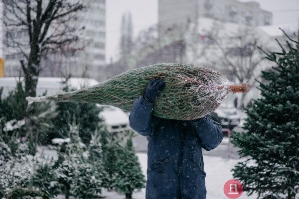 Час снега в Одессе: что мы увидели на Таирова и в центре. Фоторепортаж