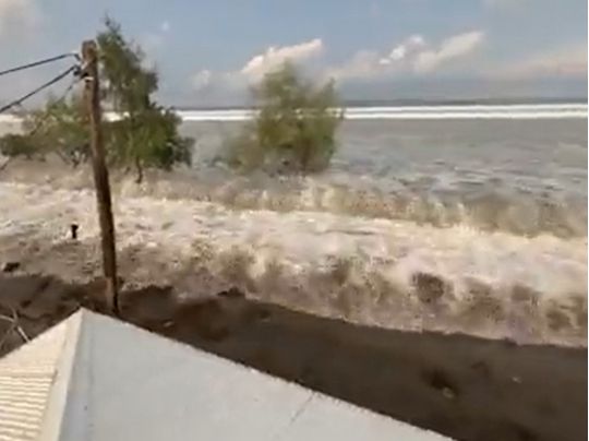 Цунамі, викликане виверженням підводного вулкана, вдарило по Японії та державі Тонга (відео)