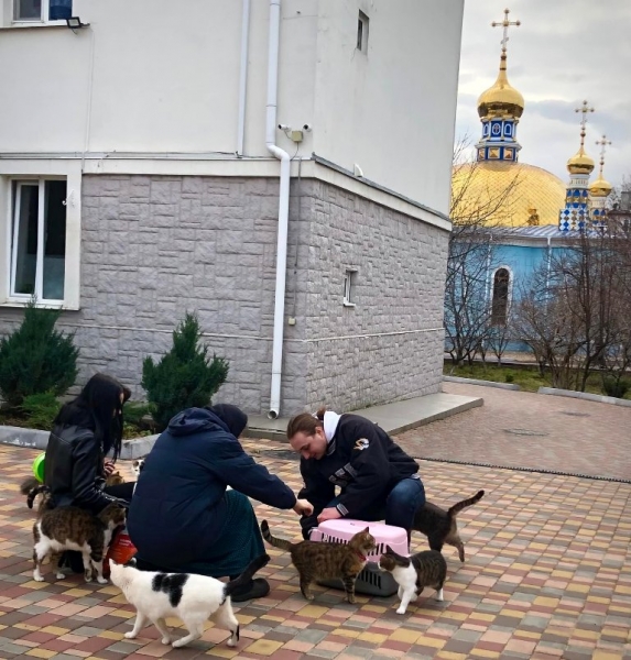Одесский женский монастырь приютил брошенных хозяевами котиков 