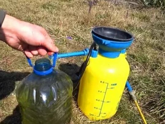 Листопад — саме час застосувати залізний купорос на дачі: як правильно зробити розчин