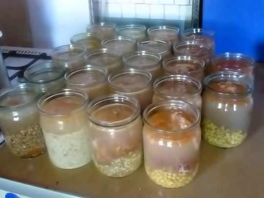 На випадок блекауту буде чим перекусити: м’ясні консерви з овочами та рисом