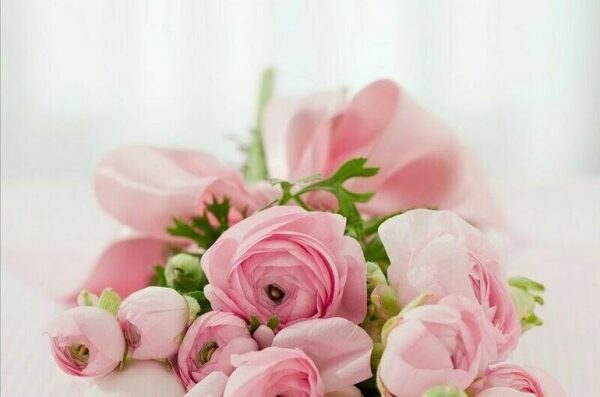 Цветы с доставкой: подарите близкому хорошее настроение