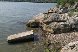 В Одесской области зафиксировали массовый мор креветок и бычков в Хаджибейском лимане В Одесской области зафиксировали массовый мор креветок и бычков в Хаджибейском лимане