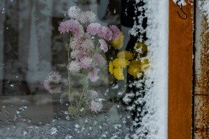 Метель осенью в Одессе &ndash; это еще и красиво: самые яркие кадры непогоды