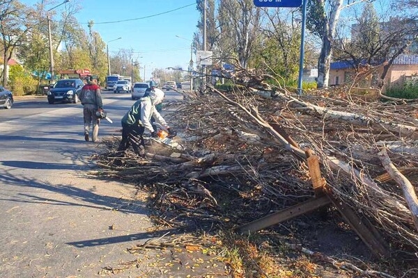 Деревопад и обесточенные населенные пункты: к каким последствиям привела непогода в Одесской области