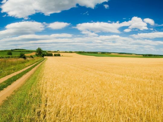 Cубсидія на&nbsp;землю: хто з&nbsp;аграріїв має право на&nbsp;її&nbsp;отримання
