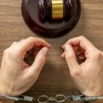 Одним із перших олігархів в Україну мають повернути Миколу Лагуна: ЗМІ про екстрадицію з Австрії