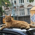 Завершение июля и первый день августа: какая погода будет в Одессе на следующей неделе