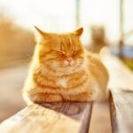 Весна набирает обороты: какая погода будет в Одессе на следующей неделе
